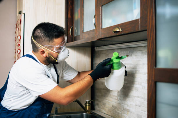 Best Commercial Pest Control Services  in Old Greenwich, CT