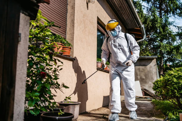 Best Termite Control Services  in Old Greenwich, CT