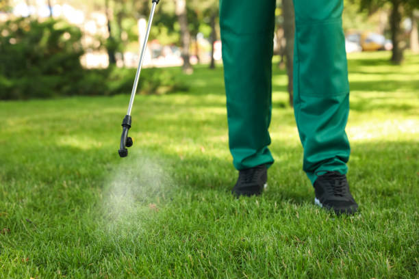 Best Wasp Removal Services  in Old Greenwich, CT