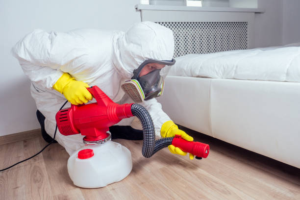 Best Local Pest Control Services  in Old Greenwich, CT