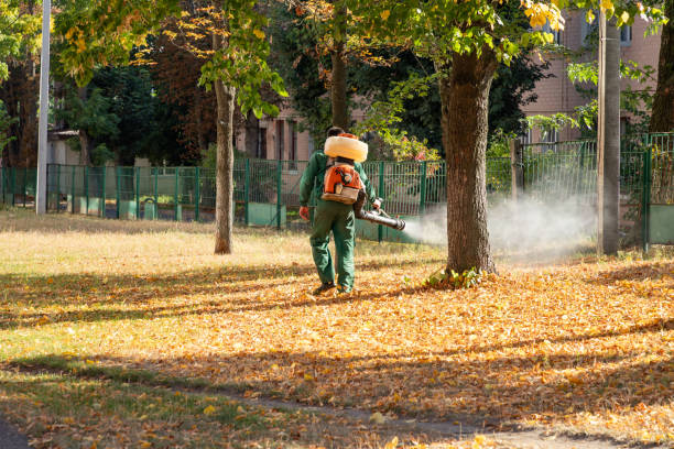 Best Rat Extermination Near Me  in Old Greenwich, CT